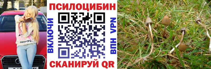 Галлюциногенные грибы Psilocybe как найти Усмань